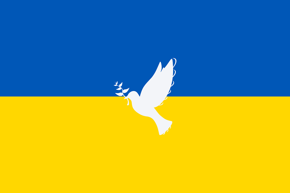 Peace in ukraine flag